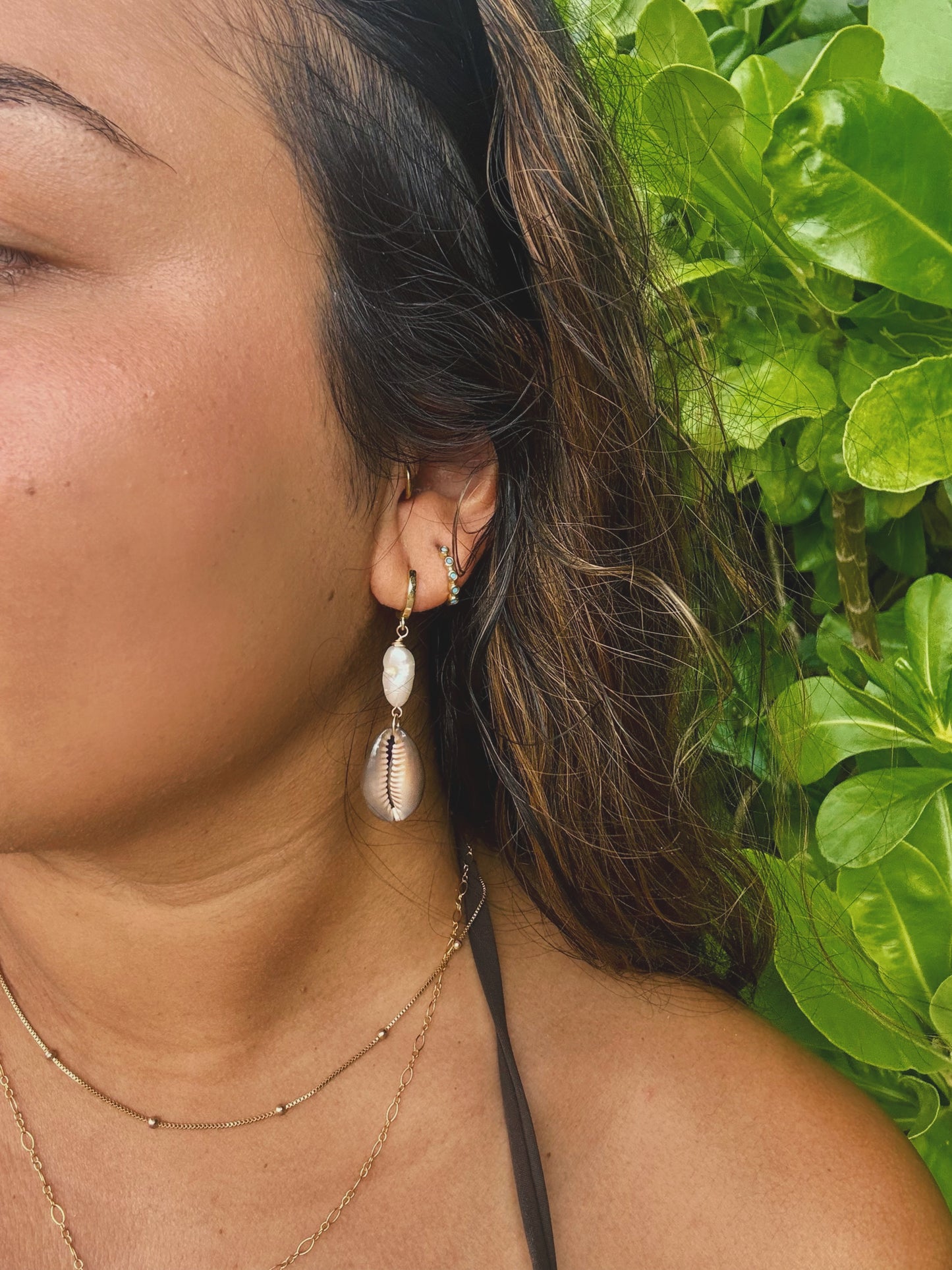 Hawaiian Cowrie Hoops
