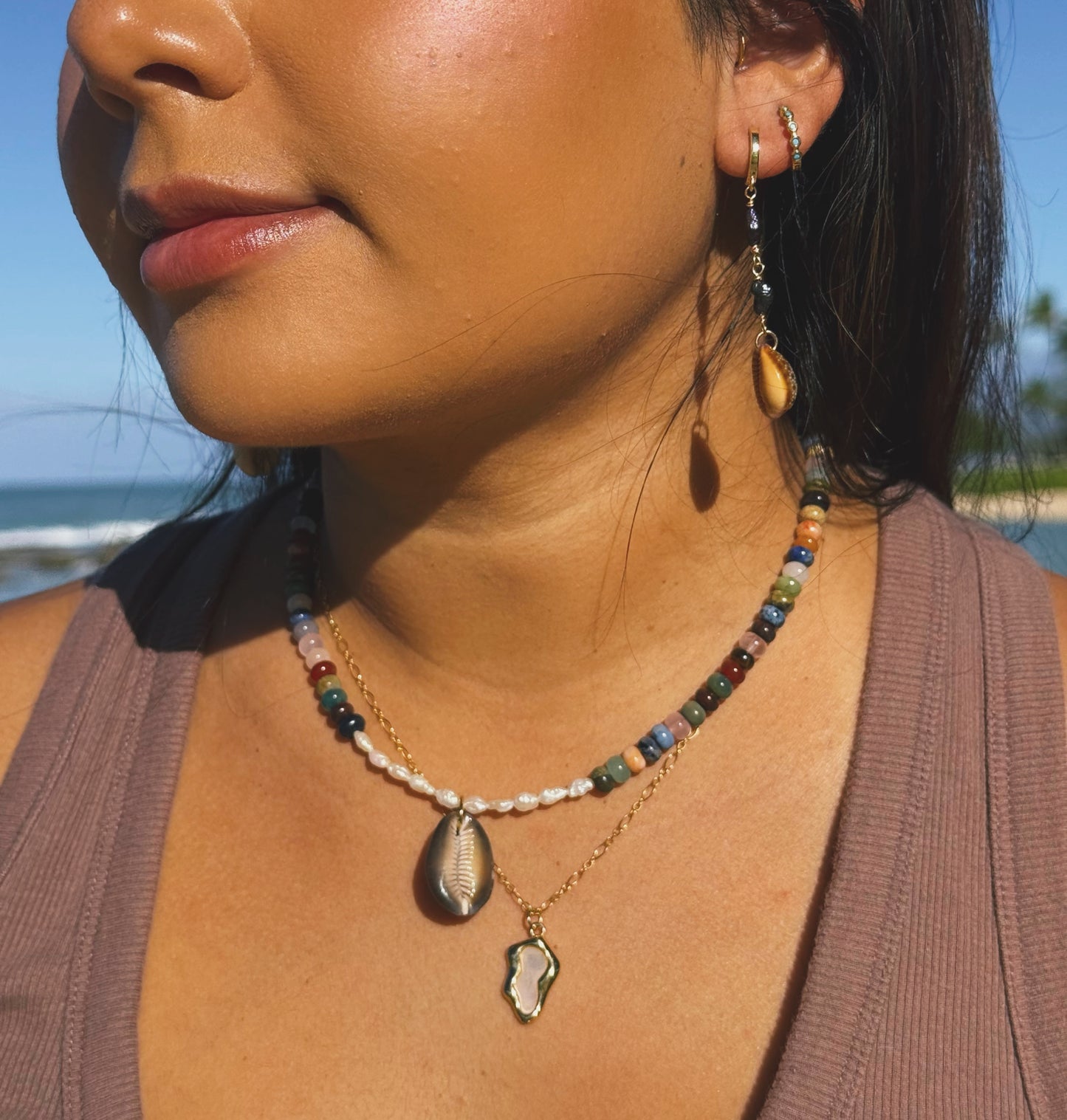 The Rainbow Cowrie